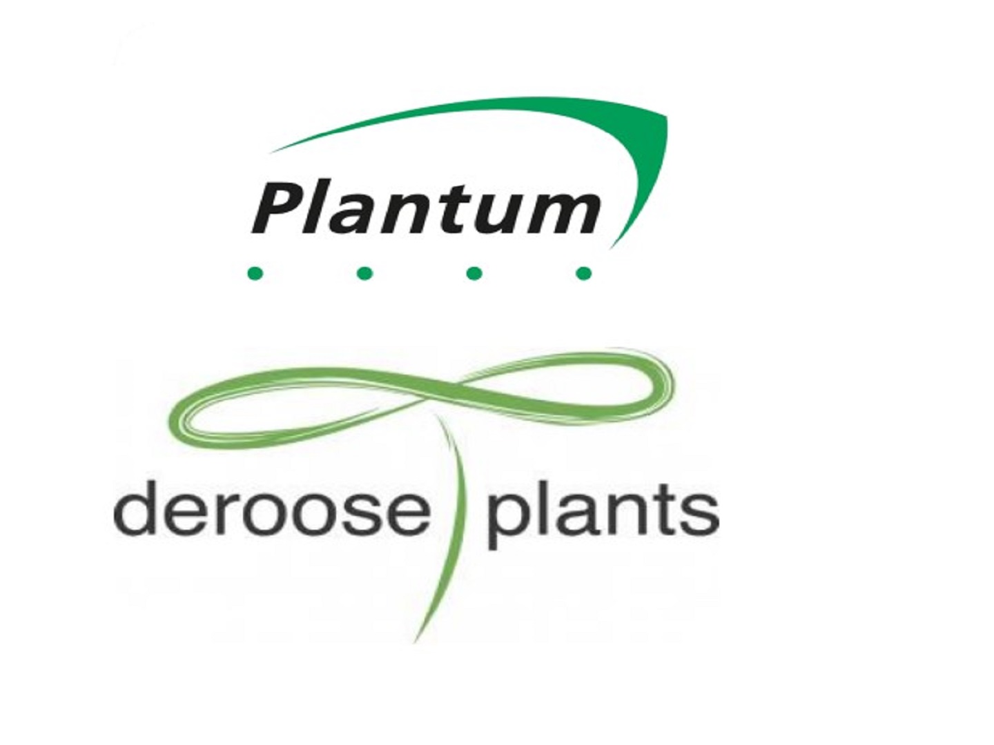 Deroose Plants will use Mercado software in its companies globally